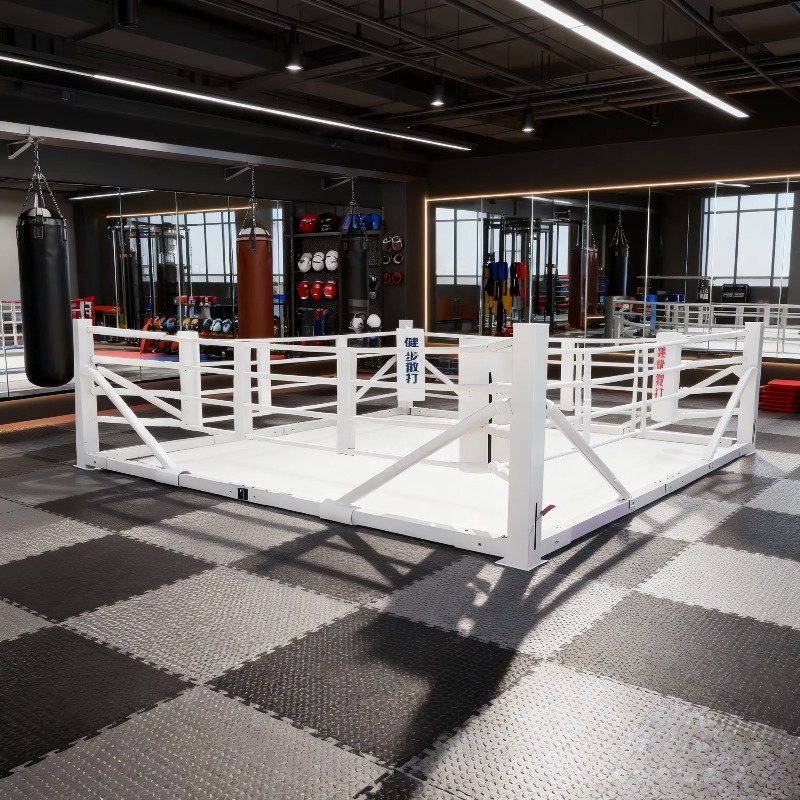 Składany ring bokserski do ćwi – Home Gym Equipment Set recenzja i cena